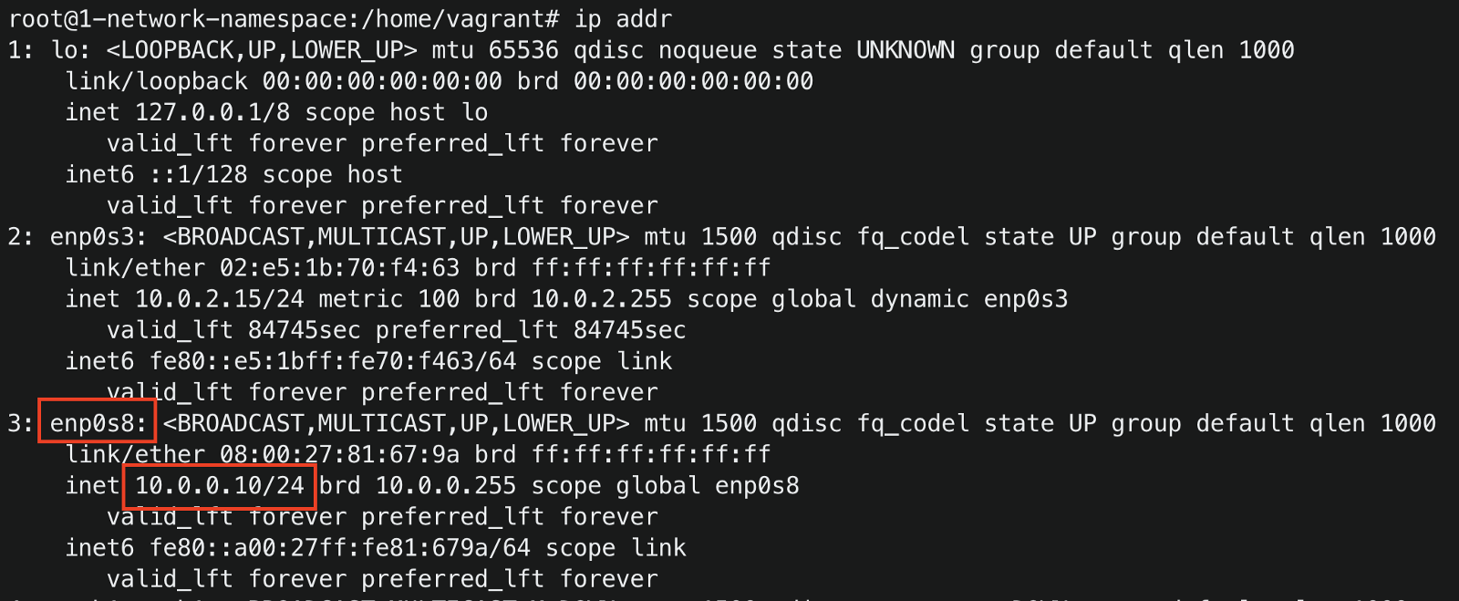 host device IP addresses