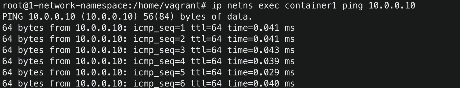 ping host success